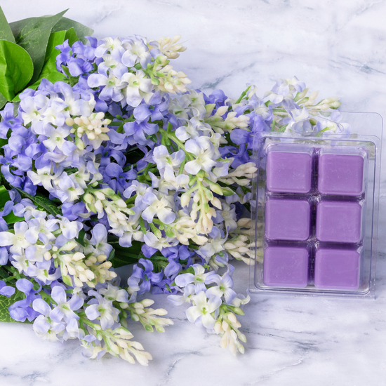 DraFay's Lilac - Vibrant scent of blooming Lilacs